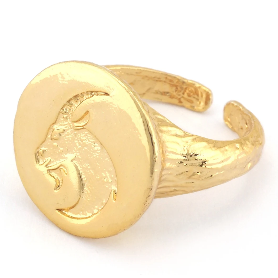 capricorn adjustable signet ring