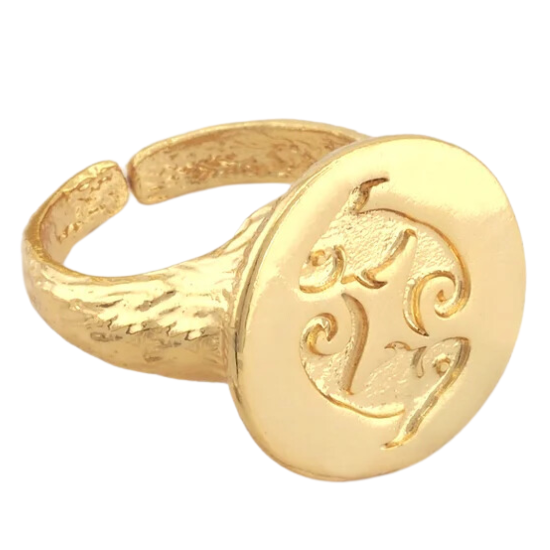 pisces adjustable signet ring