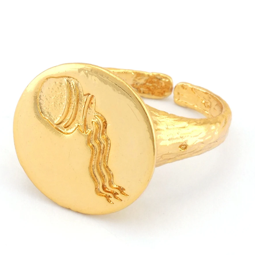 aquarius adjustable signet ring