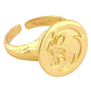 leo adjustable signet ring